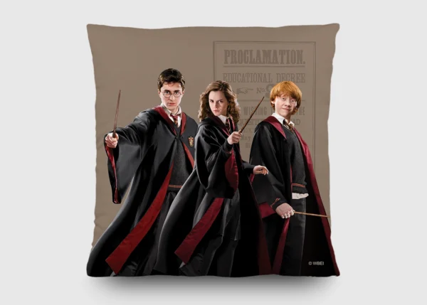 Cushion Harry Potter Dumbledore's Army, 40 x 40 cm, CND 3155