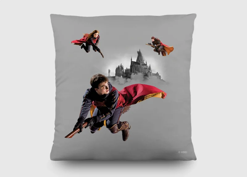 Cushion Harry Potter Quidditch, 40 x 40 cm, CND 3157