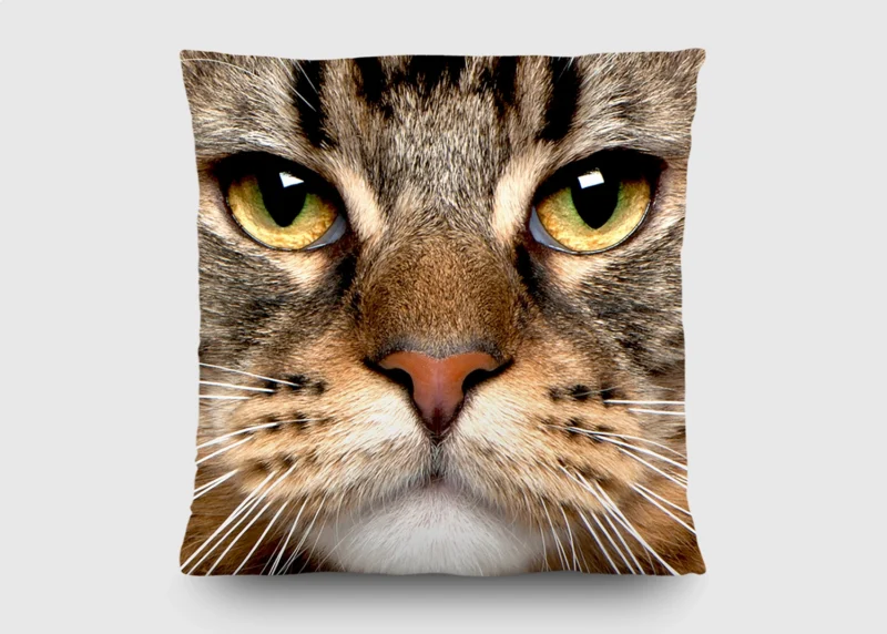 Cushion Cats, 45 x 45 cm, CN 3615