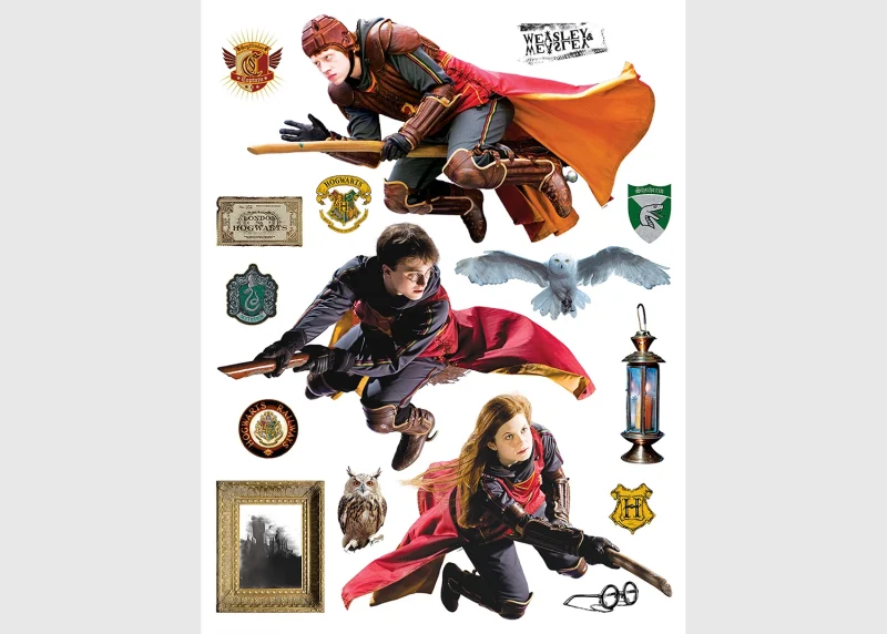 Wall Stickers Harry Potter Quidditch, 65 x 85 cm, DK 2339