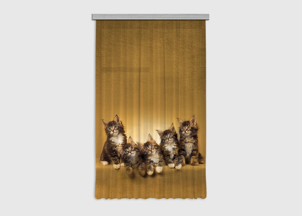 Curtain Kittens, 140 x 245 cm, FCPL 6521