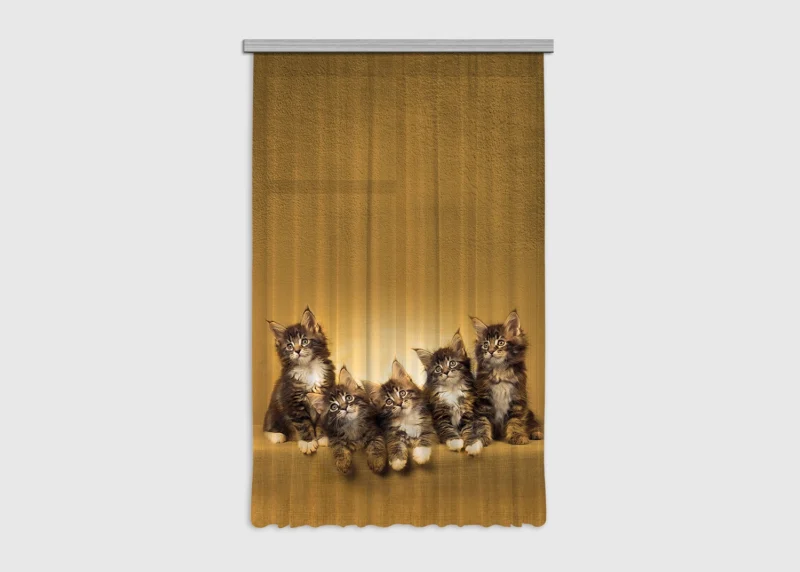 Curtain Kittens, 140 x 245 cm, FCSL 7521