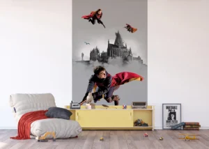 Wall Mural Harry Potter, 150 x 270 cm, FTD2P 5613