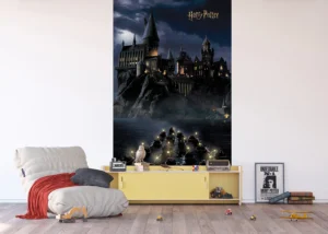 Wall Mural Harry Potter, 150 x 270 cm, FTD2P 5621