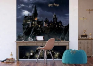 Wall Mural Harry Potter, 225 x 270 cm, FTD3P 5175