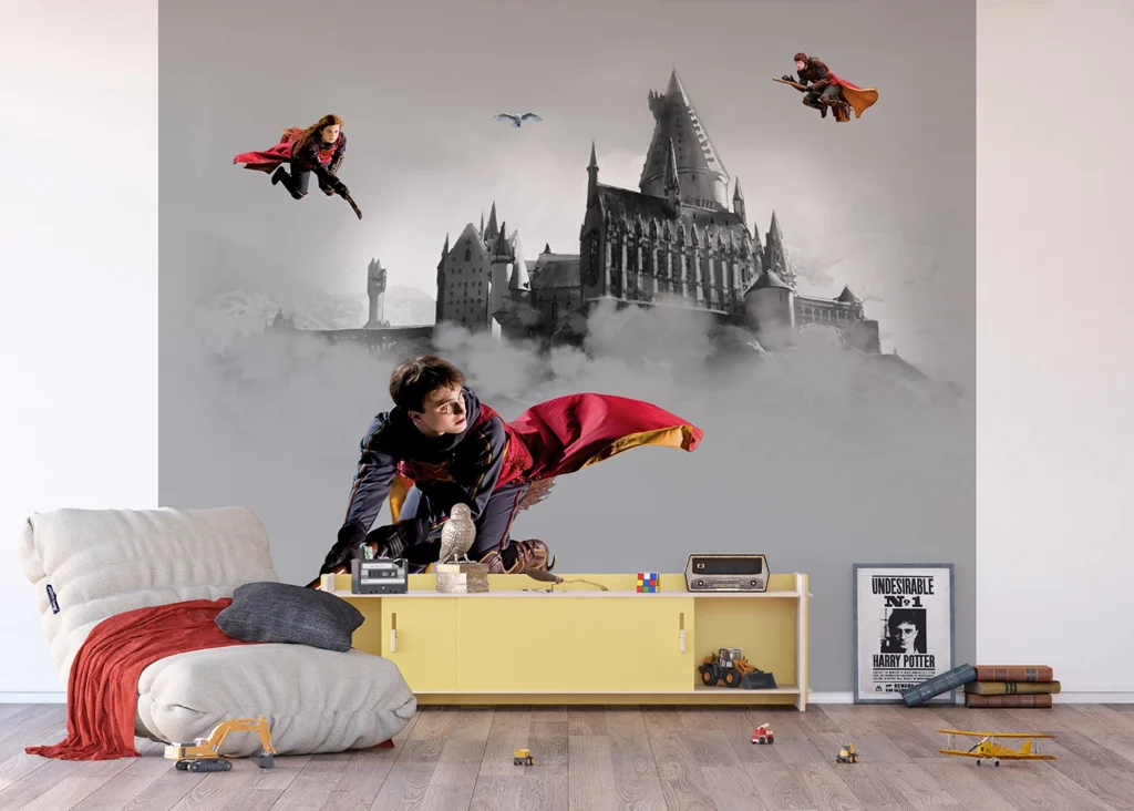 Wall Mural Harry Potter, 300 x 270 cm, DTD4P 5095