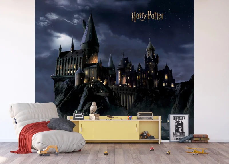 Wall Mural Harry Potter, 300 x 270 cm, DTD4P 7803