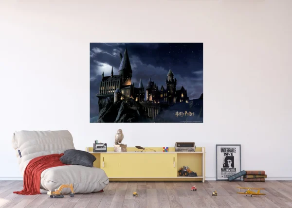 Wall Mural Harry Potter, 155 x 110 cm, FTDNM 7903