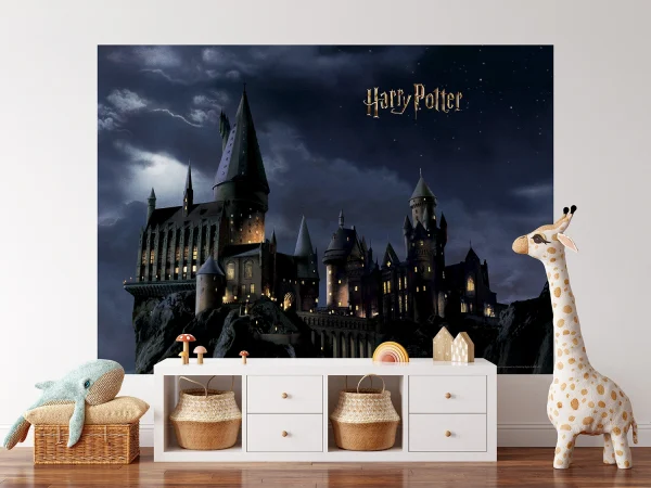 Wall Mural, Harry Potter, 252 x 182 cm, FTDXL 1965