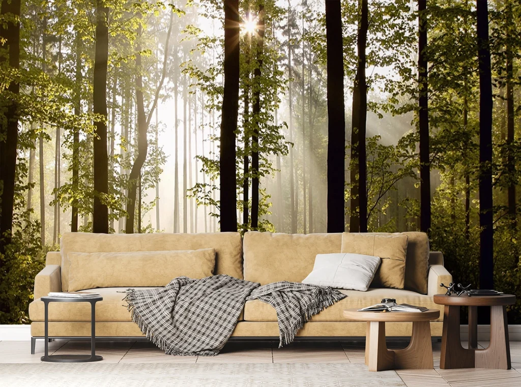 Wall Mural Morning Forest, 375 x 270 cm, FTNS 2447