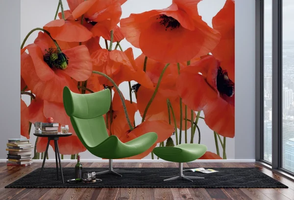 Wall Mural Wild Poppies, 375 x 270 cm, FTNS 2461