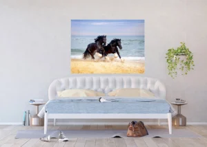 Wall Mural Horses on Beach, 160 x 110 cm, FTNM 2692