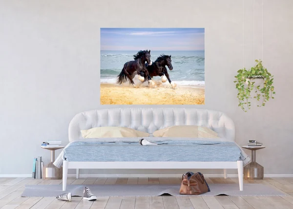 Wall Mural Horses on Beach, 160 x 110 cm, FTNM 2692