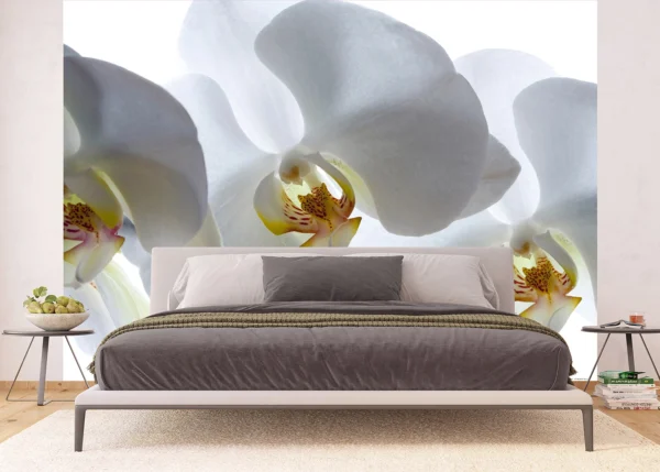 Wall Mural White Orchid, 375 x 270 cm, FTNXXL 0466