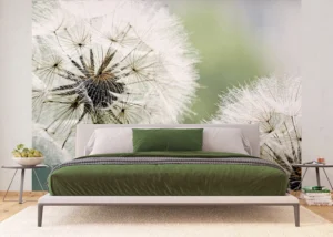 Wall Mural Dandelion, 375 x 270 cm, FTNXXL 0477