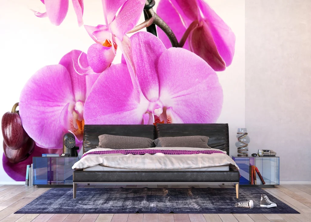 Wall Mural Orchid Allure, 360 x 254 cm, FTS 0049