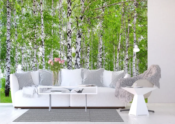 Wall Mural Birch Forest, 360 x 254 cm, FTS 1304