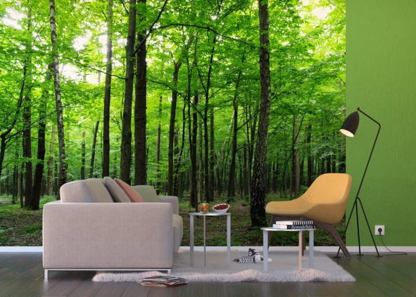 Wall Mural Forest, 360 x 254 cm, FTS 1324