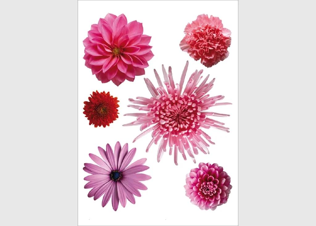 Wall Stickers Flowers, 65 x 85 cm, F 0406