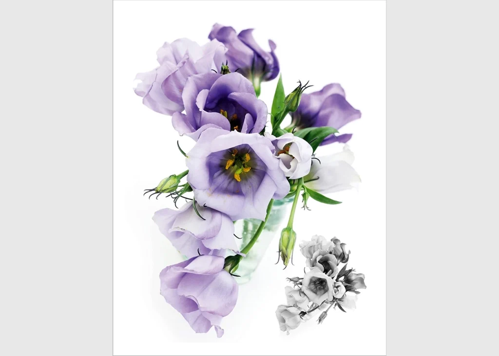 Wall Stickers Flowers, 65 x 85 cm, F 1029