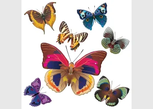 Wall Stickers Butterflies, 30 x 30 cm, SS 3854