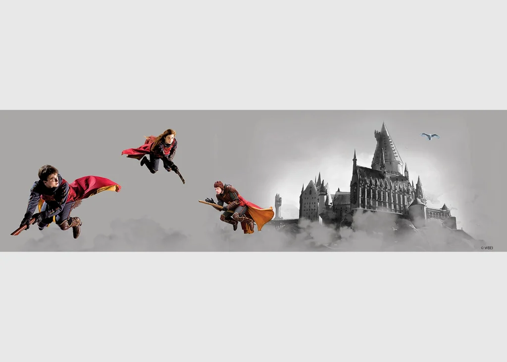 Wall Border Harry Potter Quidditch | 5 m x 9.7 cm | WBD 8143