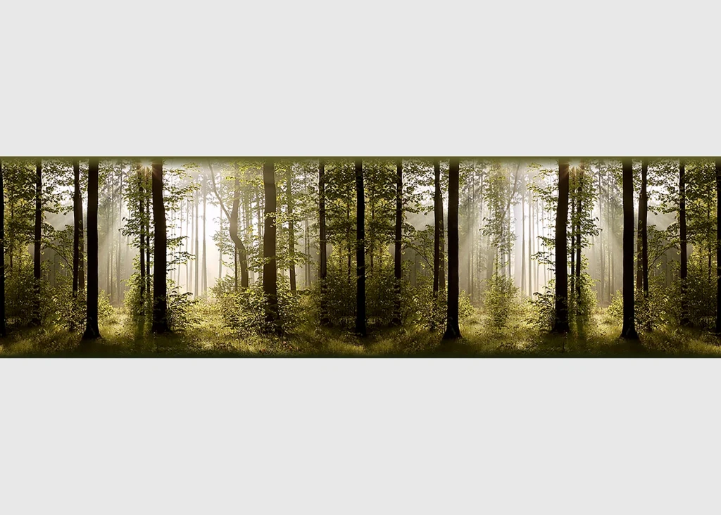 Wall Border Morning Forest | 5 m x 13.8 cm | WB 8214