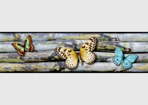 Wall Border Mesmerizing Butterflies | 5 m x 13.8 cm | WB 8238