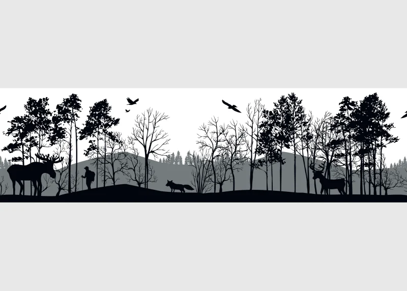 Wall Border Forest Silhouette | 5 m x 13.8 cm | WB 8269